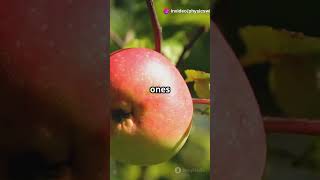 Why Do Everyday Objects Change Colors #colorscience #wavelengths #green #rainbow #colorperception News