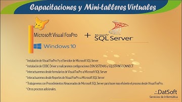 09    Trabajando con formularios desde Visual FoxPro a SQL Server   Actualizar Registro