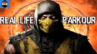 Scorpion 