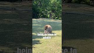 Jarl Visits Japan Part 3