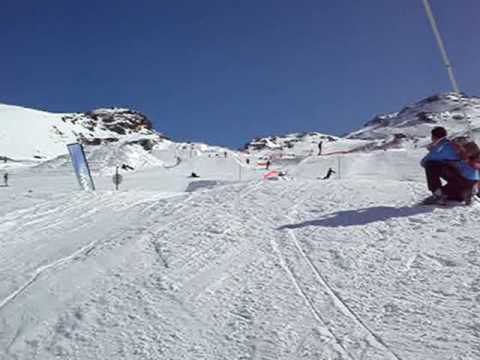 Latania White Photo 7