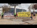 Cockfight at the Big 12 College Football Championship