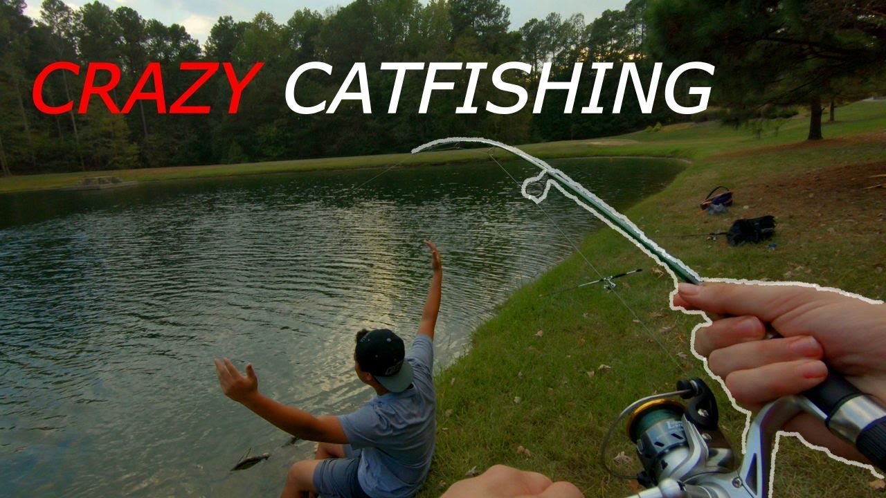 CRAZY DAY OF CATFISHING URBAN PONDS...(SURPRISE CATCH) YouTube
