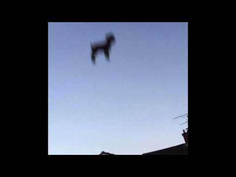 Tyler, The Creator - Sometimes...