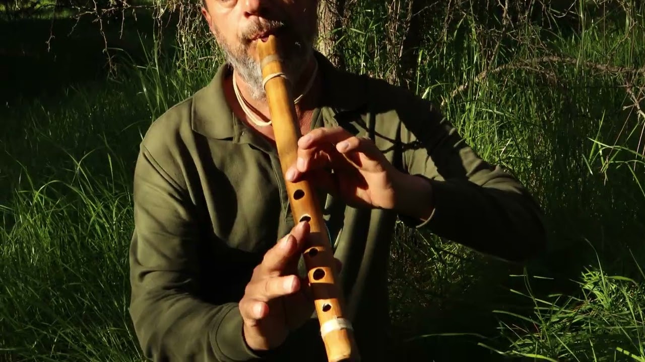 Himno Instrumental "Yo Te Seguiré" por Hector Escobar.