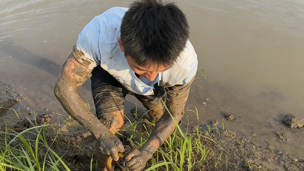 鱔別挑塘！越不起眼，越容易爆桶，信不信？