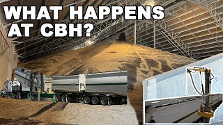 Ride along to CBH to see what happens with my grain | Harvest 2023 | Western Australia