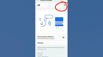 Phone Control By Voice Samsung Lifehack Voice Access 