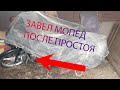 ЗАВЕЛ МОПЕД ПОСЛЕ ПРОСТОЯ.НОВОСТИ ПРО САМОДЕЛЬНЫЙ МОПЕД ИЗ АЛЬФЫ.