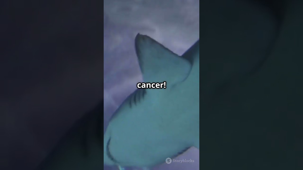 STOP Believing This! 🚨 Myth vs. Reality