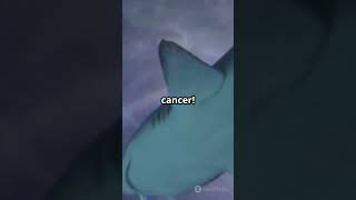 STOP Believing This! 🚨 Myth vs. Reality#facts #factchecking