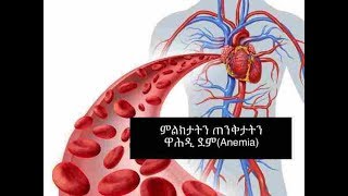 1ይ ክፋል: ዋሕዲ ደም( Anemia)-ጠንቅታቱን ምክልኻሉን።