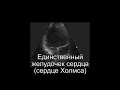 Единственный желудочек сердца (сердце Холмса)