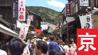 ２３５）【第９４日】日本一長いきっぷの旅《京都駅》午前の部