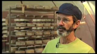 My Wisconsin Stories -- Blue Mounds Cheese Cave