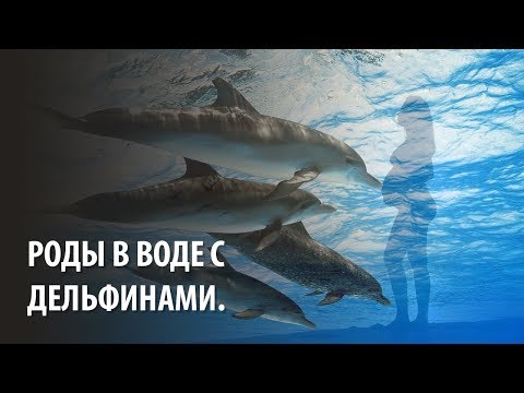 Роды в воде – все за и против