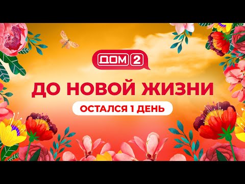 Видео: Смотри новый 