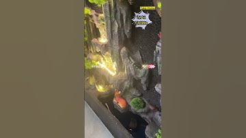 TIỂU CẢNH TRANG TRÍ NỘI THẤT TAKA HOME PHONG THUỶ | Sầm Văn Tiến