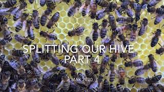 Splitting our hive - part 4