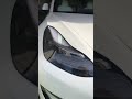 Model 3 Headlight Pulse on Sentry Mode