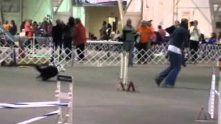 Peios.zainey.xj.3.31.12