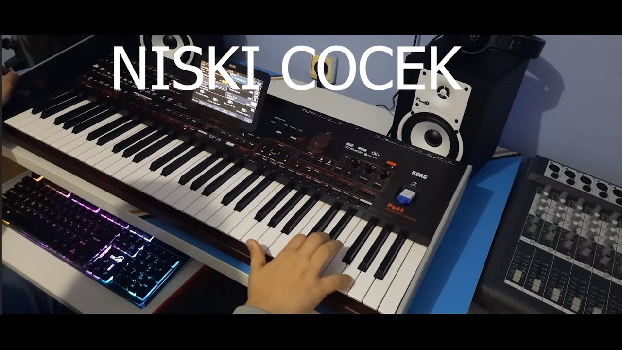 NISKI COCEK (KORG PA4X)
