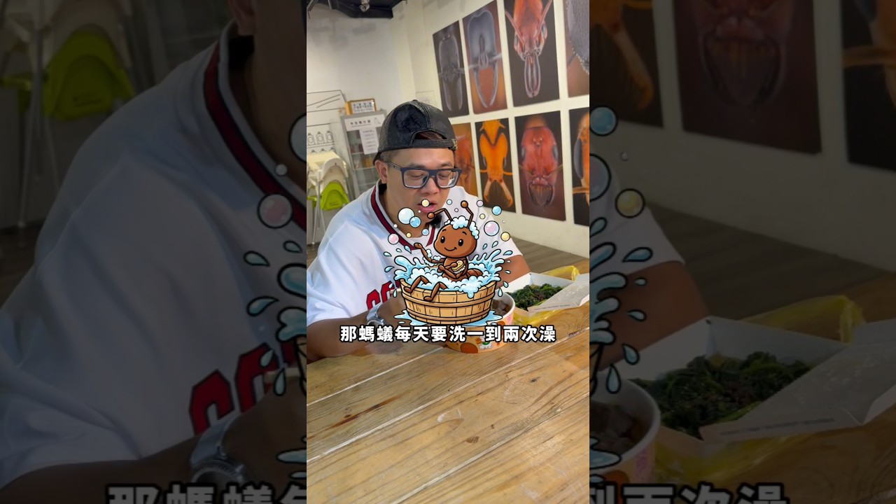 螞蟻可能比你室友還愛乾淨愛洗澡！？螞蟻帝國 台灣螞蟻王 縮圖
