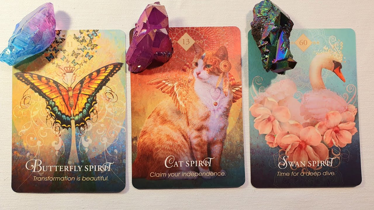 Nový človek prichádza do vášho života ⭐💖 Charakter #výkladkaret #tarotovevyklady