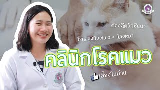 EP8. [คลินิกพิเศษ] คลินิกโรคแมว