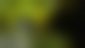 Devil May Cry 2 2 Blood Goats Attacks Devil Trigger Lucia Ryona