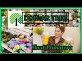 DOLLAR TREE🌳 Lo nuevo Primavera 2021/ SPRING DOLLAR TREE HAUL 2021/ VAMOS AL DOLLAR TREE COMPRAS