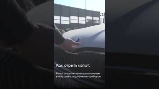 Skoda Rapid - как открыть капот