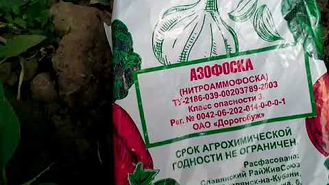 Как удобрять инжир