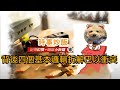 時事炒飯- 背後四個邏輯拆解巴以衝突 網友Jacky ［智慧人的圈子］ 20231116