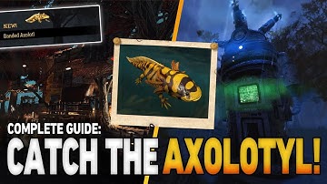 Catch the Rare Banded Axolotl Fast! | Fallout 76 Axolotl Guide
