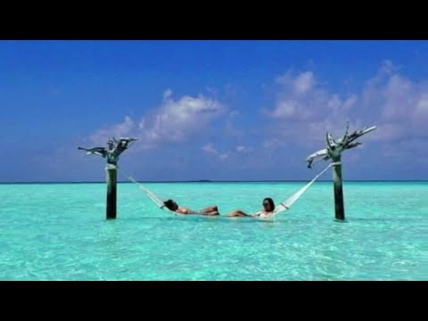 Maldives The Sunny Side of Life | Maldives Beaches | Maldives Tourism @spectacularvideos833