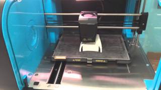 Impression 3D Prothèse E-Nable Sur Robox