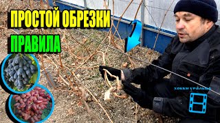 видео: ОБРЕЗКА ВИНОГРАДА ОСЕНЬЮ ДЛЯ НАЧИНАЮЩИХ ПРОСТО. КАК ОБРЕЗАТЬ ВИНОГРАД? СЕВЕРНЫЙ ВИНОГРАДНИК 22-42 картинка: ОБРЕЗКА ВИНОГРАДА ОСЕНЬЮ ДЛЯ НАЧИНАЮЩИХ ПРОСТО. КАК ОБРЕЗАТЬ ВИНОГРАД? СЕВЕРНЫЙ ВИНОГРАДНИК 22-42