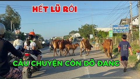 Dạo Quanh Phú Lòng Hàm Thắng Phan Thiết ngày ngày 8  tháng 12, 2025 Cập Nhật tình hình sau Lũ