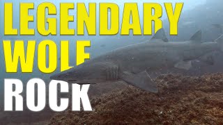 Scuba Diving The LEGENDARY WOLF ROCK In AUSTRALIA 🇦🇺