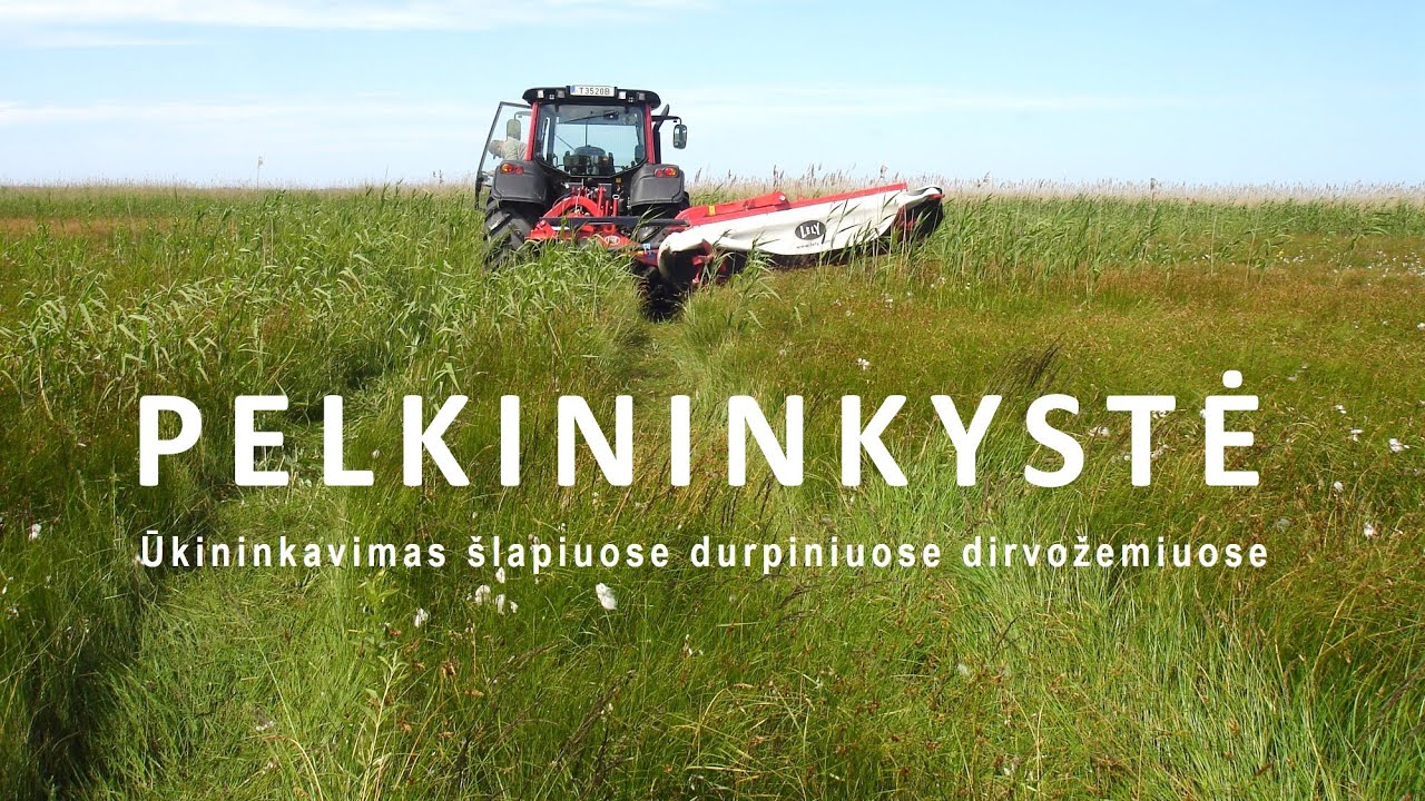 PELKININKYSTĖ. Ūkininkavimas šlapiuose durpiniuose dirvožemiuose