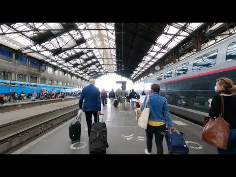 Going back to Switzerland | Paris to Zurich HB | #Paris | #Switzerland | #tgv lyria | #Tibetan Vlog