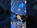 This Trampoline Is So 😲😲😮Fun_ Why Didn_t We Just Start Jumping Around Like This When We Were Kids