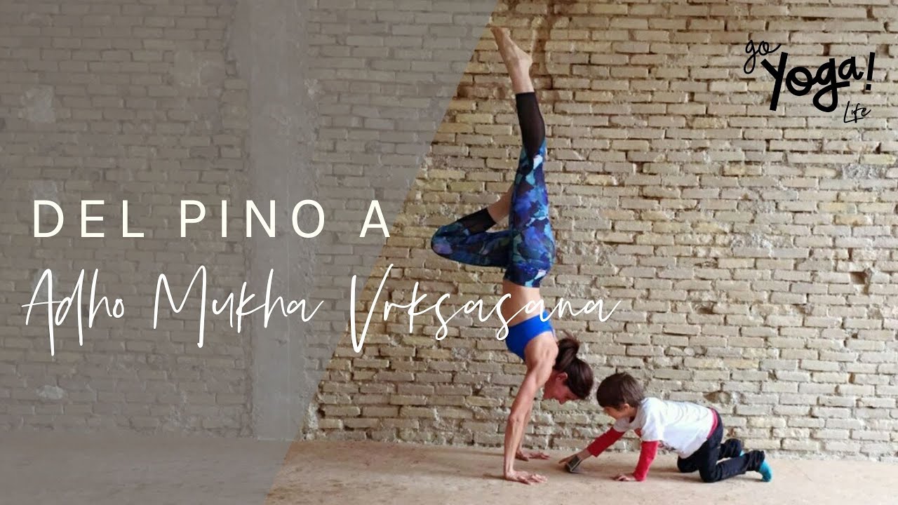 DEL PINO (O PARADA DE MANOS) A ADHO MUKHA VRKASANA