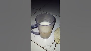 dingin dingin enak susu jahe