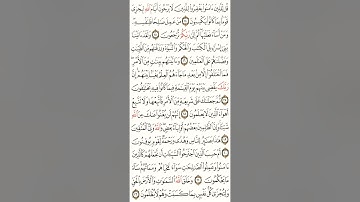 سورة الجاثية مكتوبة بصوت القارئ ماهر المعيقلي souret aljathia