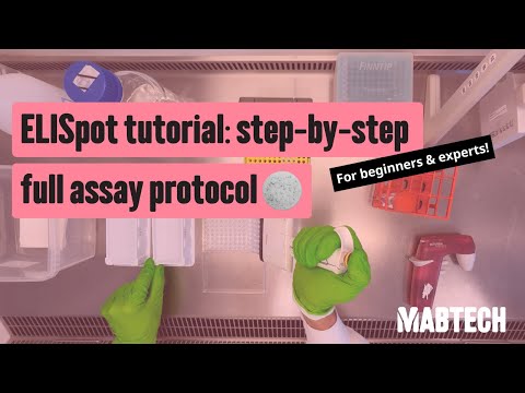ELISpot tutorial: step-by-step full assay protocol