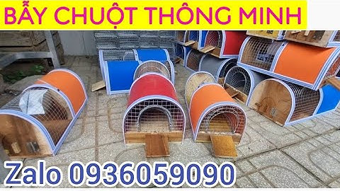 Lồng bẫy chuột thông minh. Bẫy chuột thông minh.