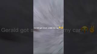 Can we get 1k views and 400 likes? #rock