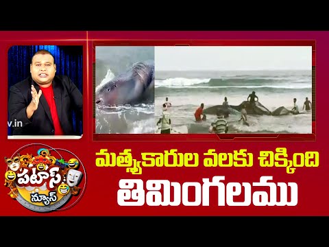 A Big Whale Caught in a Net | మత్స్యకారుల వలకు చిక్కింది తిమింగలము | Patas News | 10TV - 10TVNEWSTELUGU